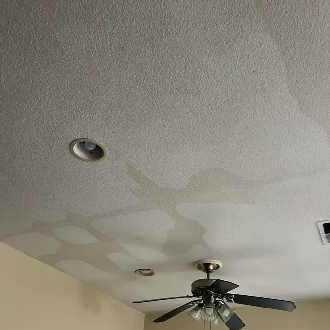 Water stains spreading across a ceiling below a roof leak in a house